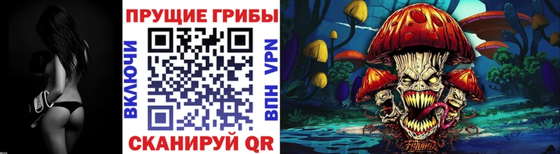 Галлюциногенные грибы Psilocybe  KRAKEN ТОР  Звенигород 