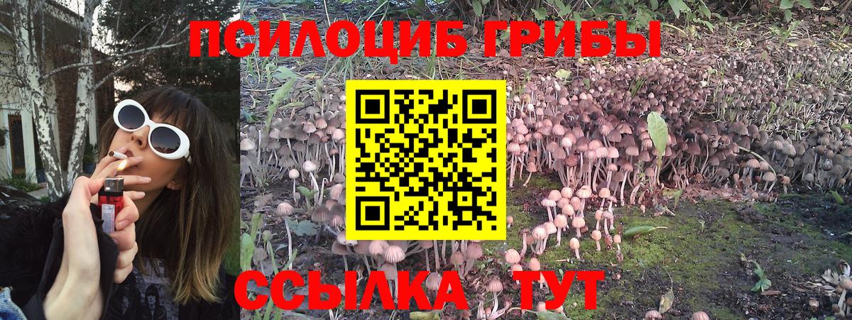 купить   Вход с VPN  Галлюциногенные грибы Magic Shrooms  Звенигород  Галлюциногенные грибы прущие грибы 